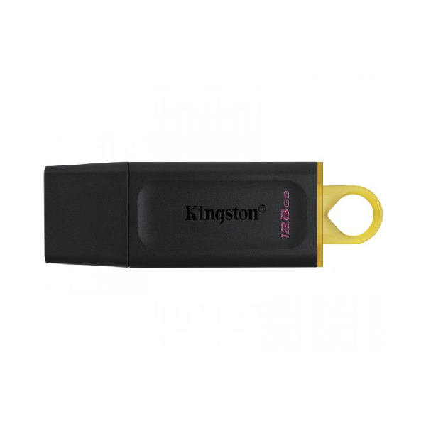 KINGSTON Flash memorija 128GB USB 3.2 Gen1 DataTraveler
